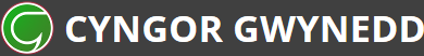 Arolwg Boddhad Aelodau Cronfa Bensiwn Gwynedd 24-25